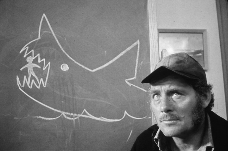 Still of Movie Jaws