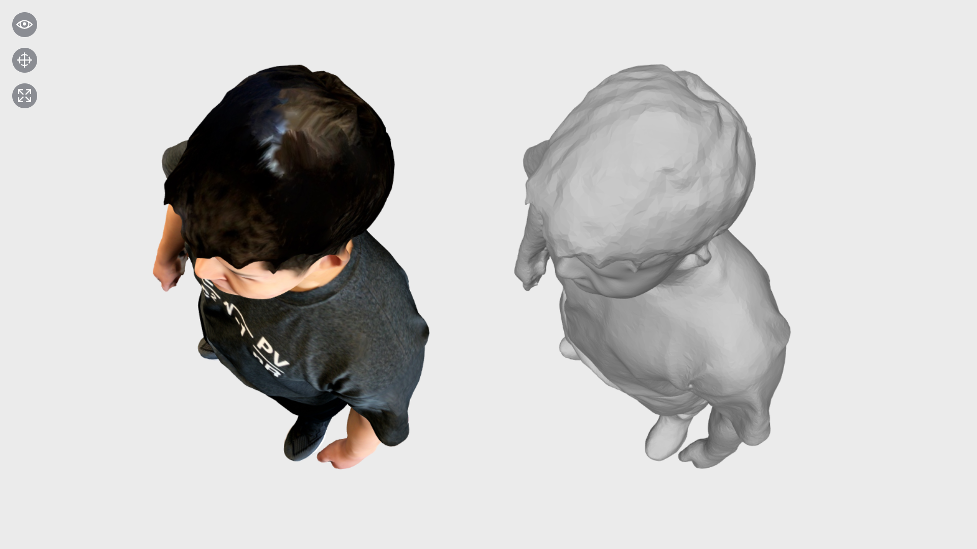 The head top details